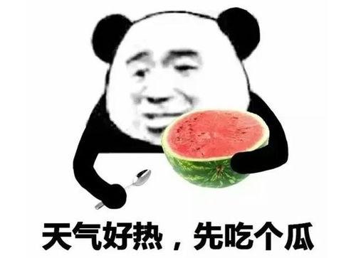 天气热吃瓜了